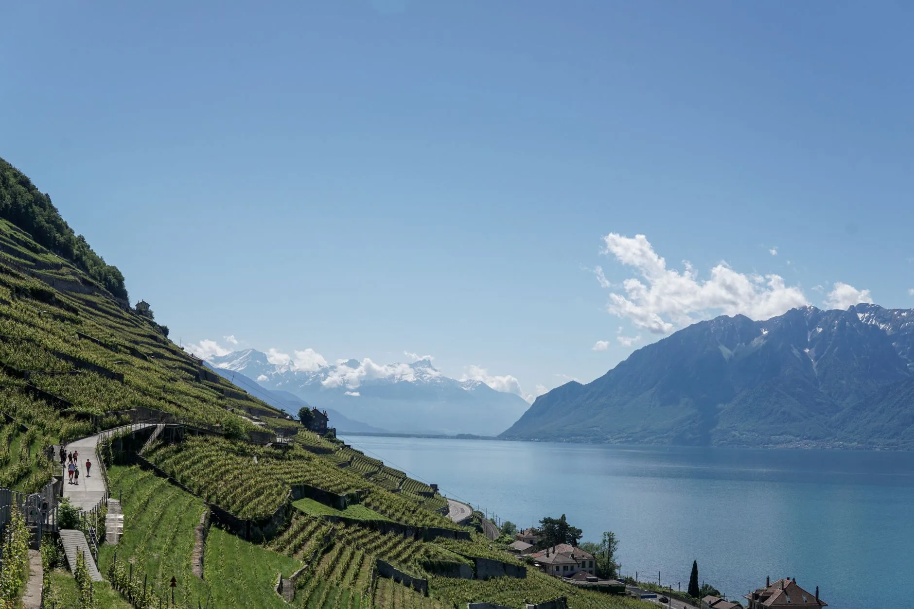 Un vignoble de montagne, entre lacs et vallées